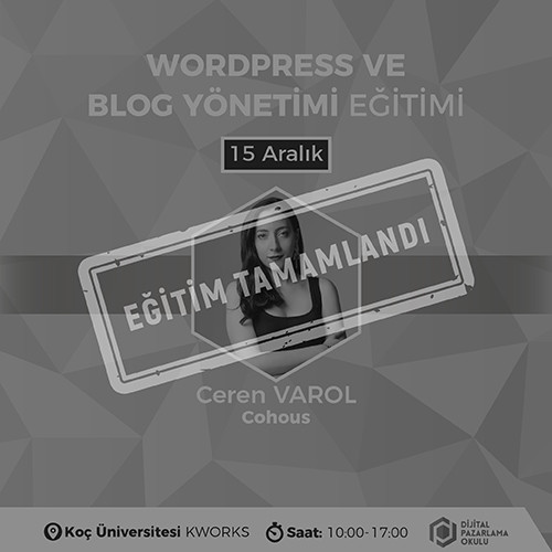 wordpress egitimi
